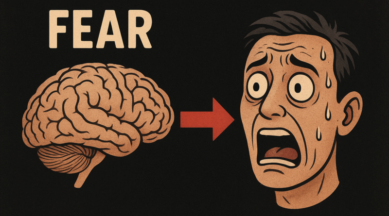 Fear and the brain